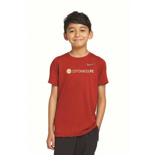 Nike Youth Legend Tee